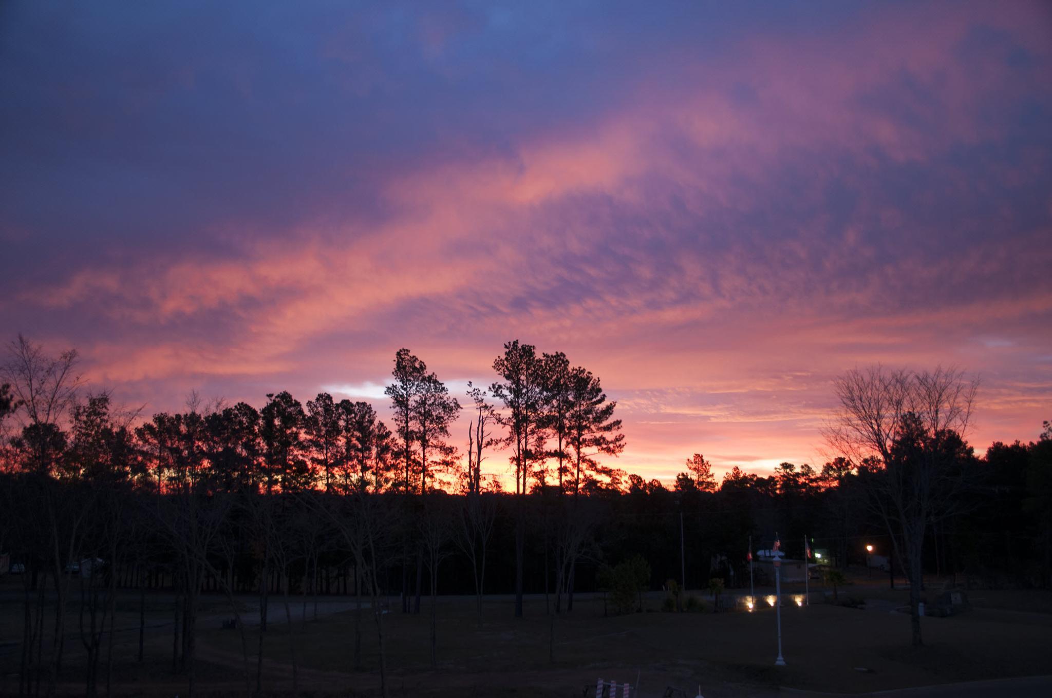 Holiday Inn Club Vacations Villages Resort At Lake Palestine Flint Eksteriør billede